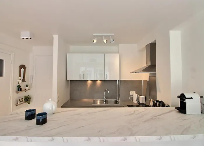 Central Cannes Daire *